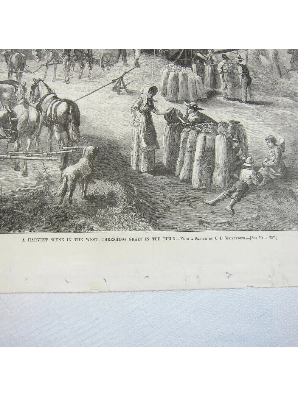 Antique 1878 Print A Harvest Scene in the West O.D. Steinberger Harper’s Weekly